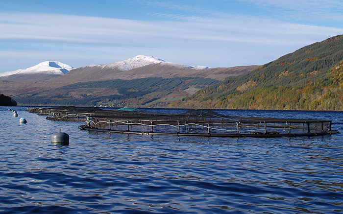 Kame Sea Trout Farm